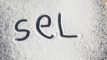 Passe-moi le SEL !